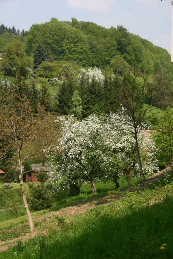 Abendrot Appartement Ober-Hambach Dış mekan fotoğraf