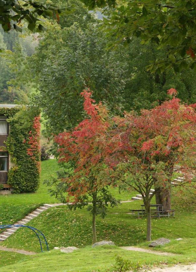 Abendrot Appartement Ober-Hambach Dış mekan fotoğraf